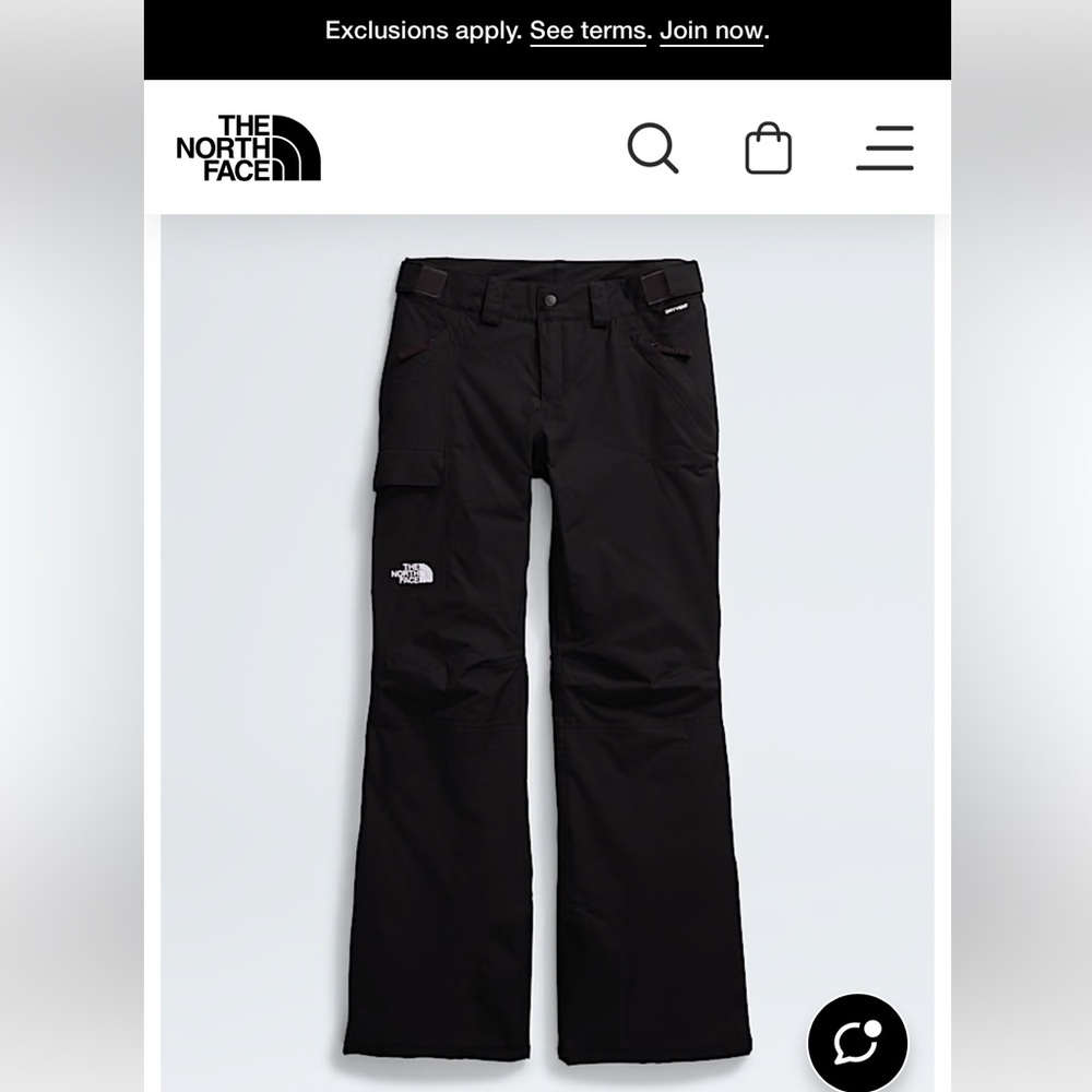 The North Face Freedom Insulated Snow Pant